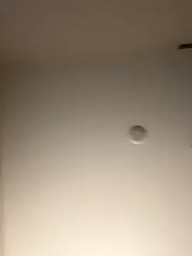 Snapshot of DancingLemonade chatting on 11.16.25 DancingLemonade online show from 11.16.25