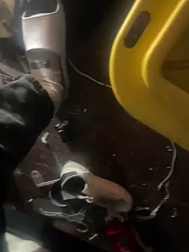 Snapshot of Exclusivenutxxx chatting on 01.23.25 Exclusivenutxxx online show from 01.23.25