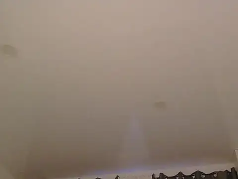 LionEdwin online show from 12.20.25