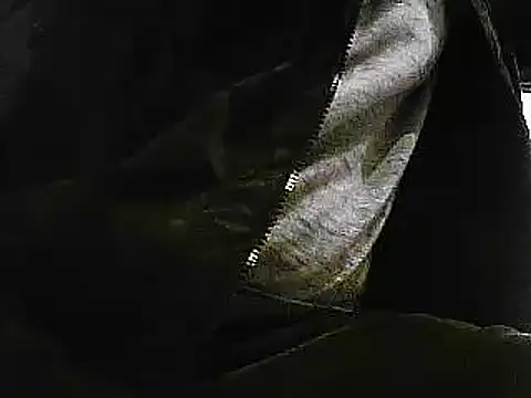 Snapshot of papiculo86 chatting on 01.29.25 papiculo86 online show from 01.29.25