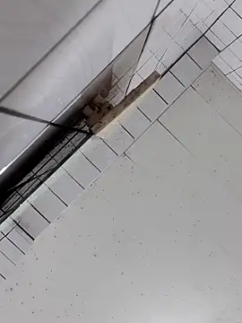 Snapshot of cindy01113520 chatting on 10.02.25 cindy01113520 online show from 10.02.25