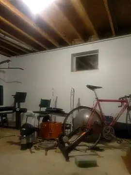 Rubisco90 online show from 12.05.24