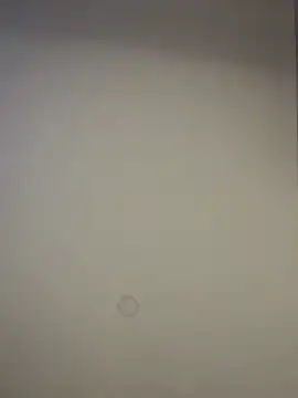 curchez  online show from 01.07.25