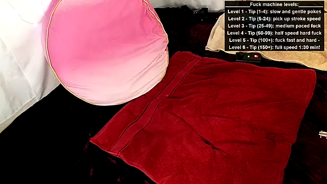 GamerGirlRoxyAndLee online show from 06.15.26