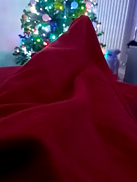 Snapshot of Markus_bst chatting on 12.23.24 Markus bst online show from 12.23.24