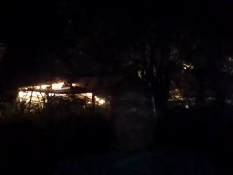 condor08750 online show from 11.22.25