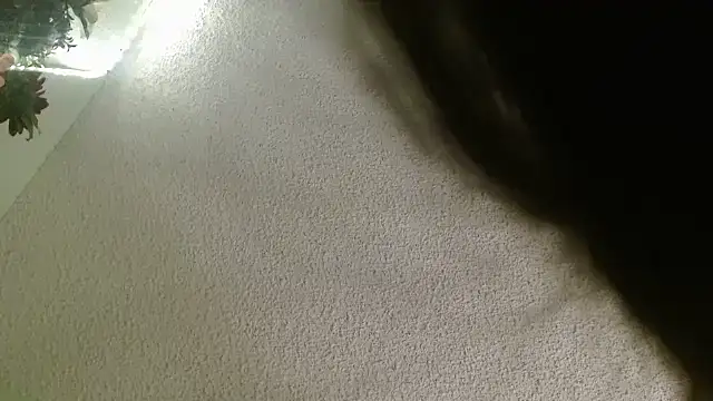 Yescuhh420 online show from 01.14.26