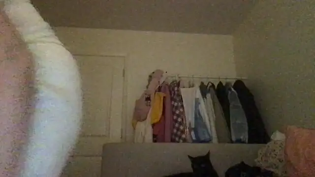 HYPHYtype online show from 09.23.25