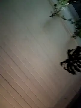 Nikkierosee online show from 12.14.24