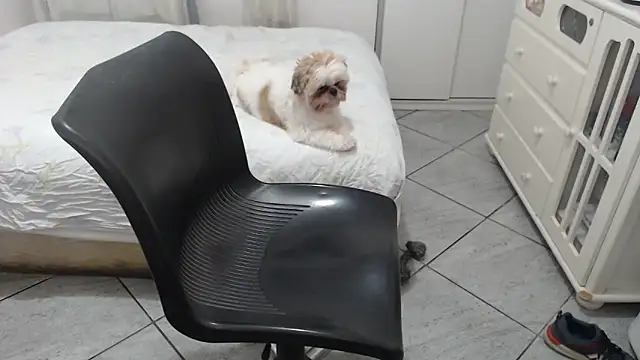 MysterBearMG online show from 11.25.25