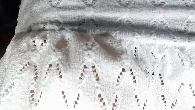 aleera starxx982 online show from 01.11.26