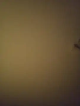 Snapshot of SMOKERBEASTBR chatting on 02.08.26 SMOKERBEASTBR online show from 02.08.26