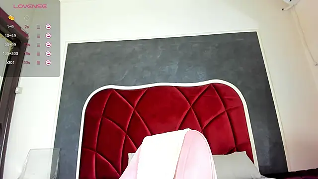 illegal lorry online show from 02.02.25