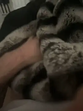 Snapshot of Furdale chatting on 12.17.24 Furdale online show from 12.17.24