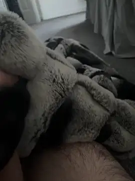 Snapshot of Furdale chatting on 01.07.25 Furdale online show from 01.07.25