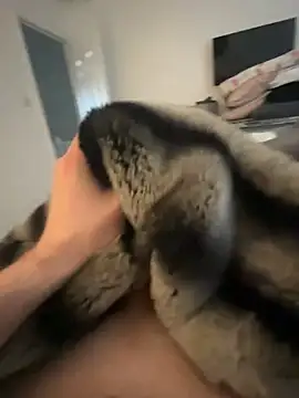 Snapshot of Furdale chatting on 02.08.25 Furdale online show from 02.08.25