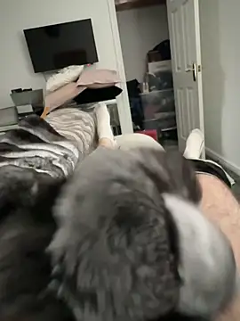 Snapshot of Furdale chatting on 10.17.25 Furdale online show from 10.17.25