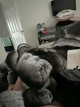 Snapshot of Furdale chatting on 11.10.25 Furdale online show from 11.10.25