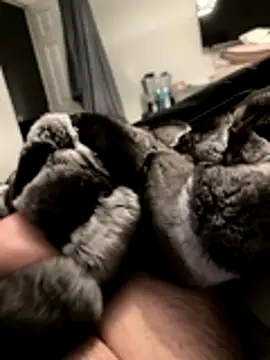 Snapshot of Furdale chatting on 11.18.25 Furdale online show from 11.18.25