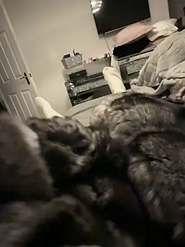 Snapshot of Furdale chatting on 12.17.25 Furdale online show from 12.17.25