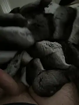 Snapshot of Furdale chatting on 01.14.26 Furdale online show from 01.14.26