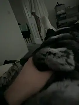 Snapshot of Furdale chatting on 02.02.26 Furdale online show from 02.02.26