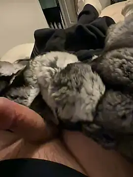 Snapshot of Furdale chatting on 02.03.26 Furdale online show from 02.03.26