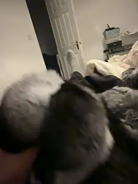 Snapshot of Furdale chatting on 02.06.26 Furdale online show from 02.06.26