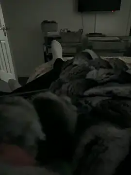 Snapshot of Furdale chatting on 02.11.26 Furdale online show from 02.11.26