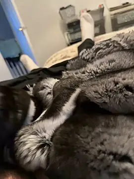 Snapshot of Furdale chatting on 02.12.26 Furdale online show from 02.12.26