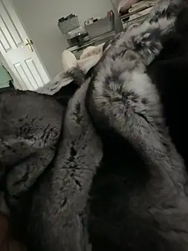 Snapshot of Furdale chatting on 02.14.26 Furdale online show from 02.14.26