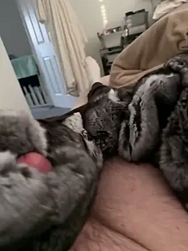 Snapshot of Furdale chatting on 02.17.26 Furdale online show from 02.17.26