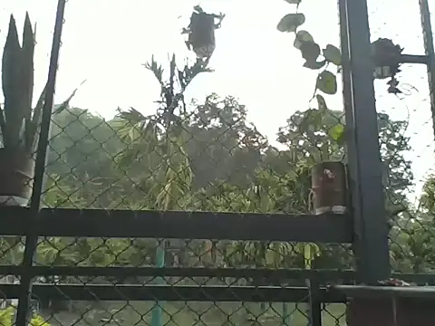 Indiaguy4u online show from 03.23.26