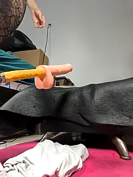 shelby kutter online show from 04.18.26