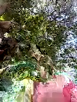 Nicolle Milf online show from 09.24.25