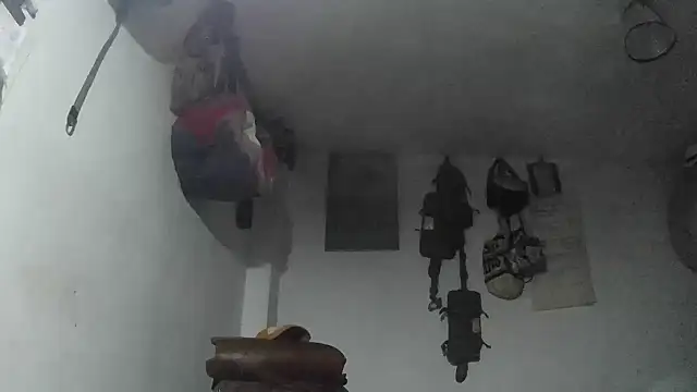 crazylatinguyy online show from 12.04.25