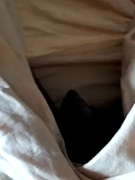 Snapshot of malluflash chatting on 02.12.26 malluflash online show from 02.12.26