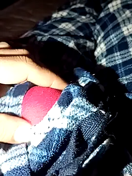 Snapshot of rodovlaz chatting on 02.04.26 rodovlaz online show from 02.04.26