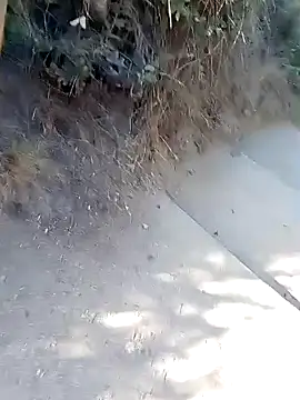 Snapshot of rodovlaz chatting on 03.02.26 rodovlaz online show from 03.02.26