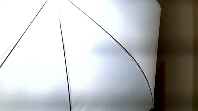 Ledy Mary online show from 11.08.25