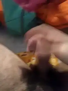 Snapshot of jon763 chatting on 01.10.25 jon763 online show from 01.10.25