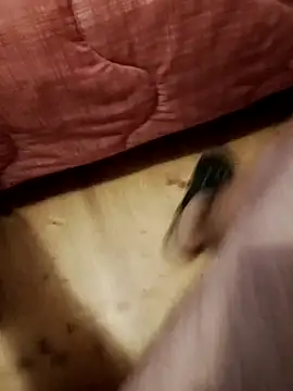 Snapshot of jon763 chatting on 09.22.25 jon763 online show from 09.22.25