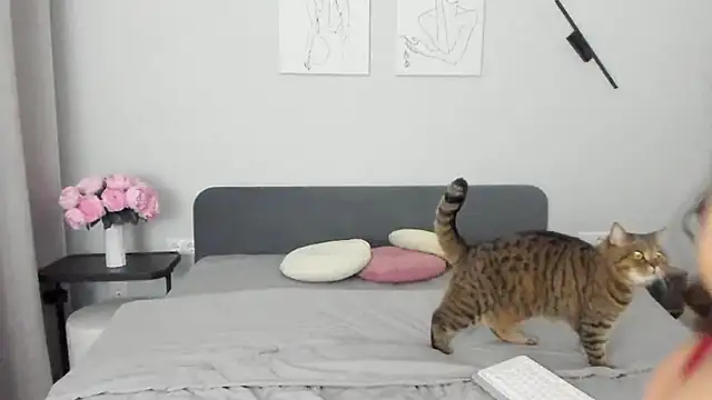 miss emily  online show from 04.19.26