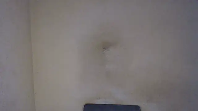 Snapshot of AlexNudo chatting on 01.23.25 AlexNudo online show from 01.23.25