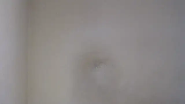 Snapshot of AlexNudo chatting on 02.26.25 AlexNudo online show from 02.26.25