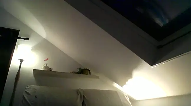 Cambitchboy online show from 12.11.24