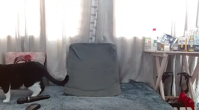 Snapshot of Boonny_Boo01 chatting on 02.01.25 Boonny Boo01 online show from 02.01.25