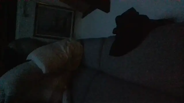 davigochi77bcn online show from 02.20.26