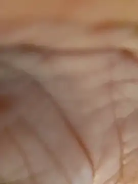 real007fun online show from 03.01.26