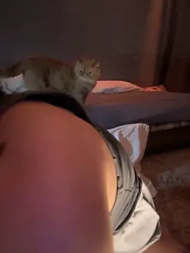 Bastet online show from 01.14.25